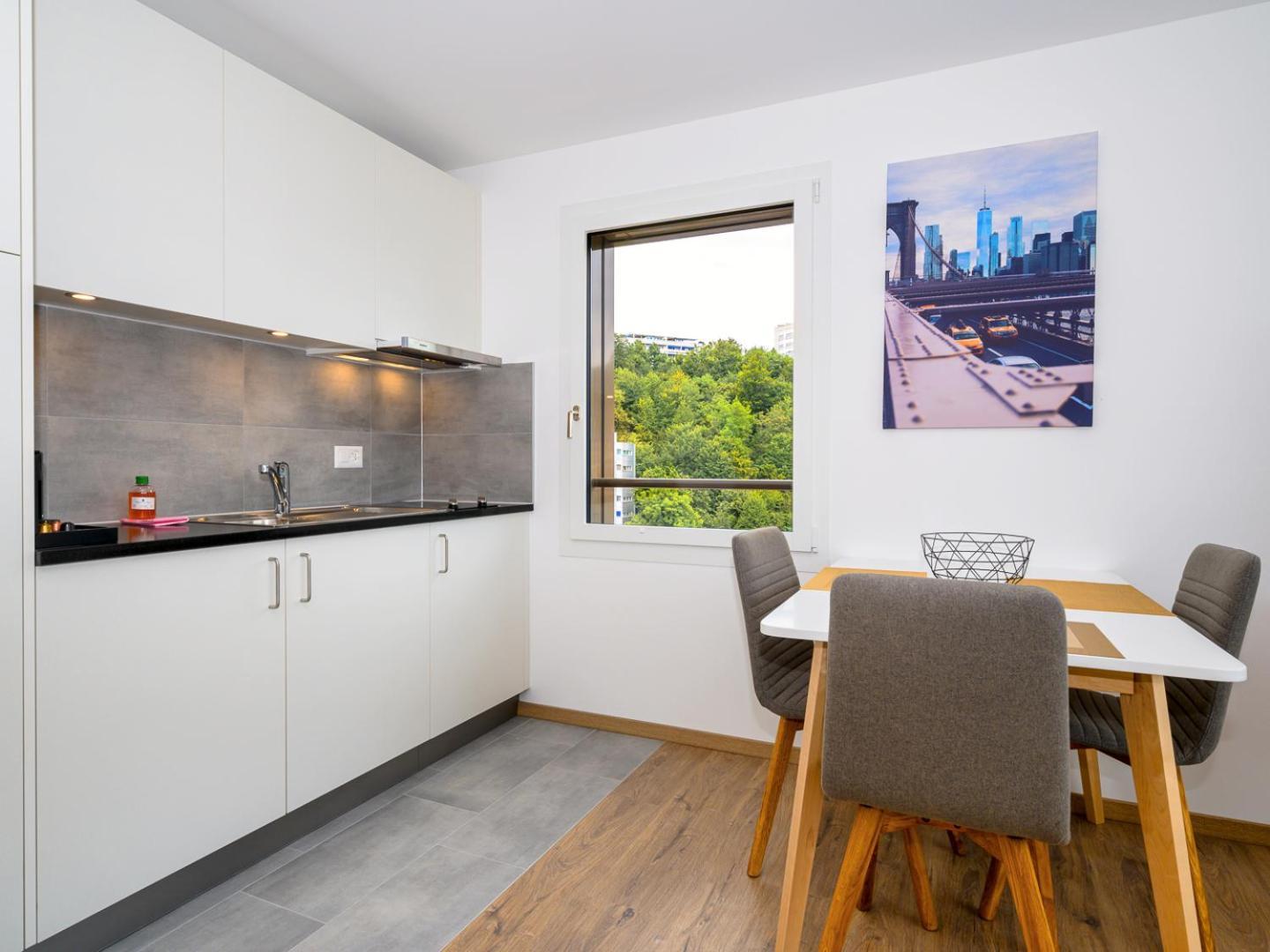 Modern In The Heart Of Apartment Lausanne